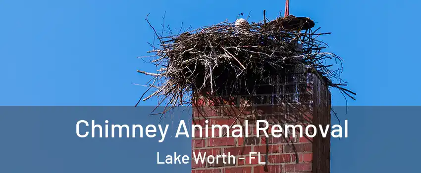 Chimney Animal Removal Lake Worth - FL
